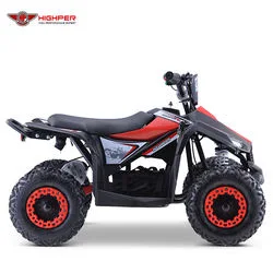 New Electric 4 Wheeler Kids ATV Bike 1000W 36V