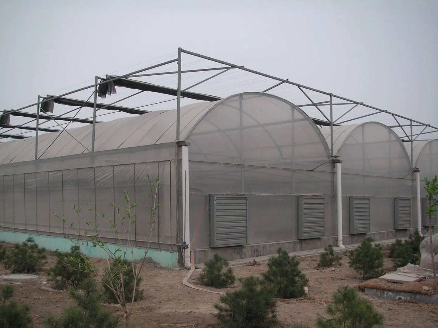 Single Layer Glass Greenhouse Galvanized Frame with Cooling/ Shading/Irrigation for Vegetable Cultivation