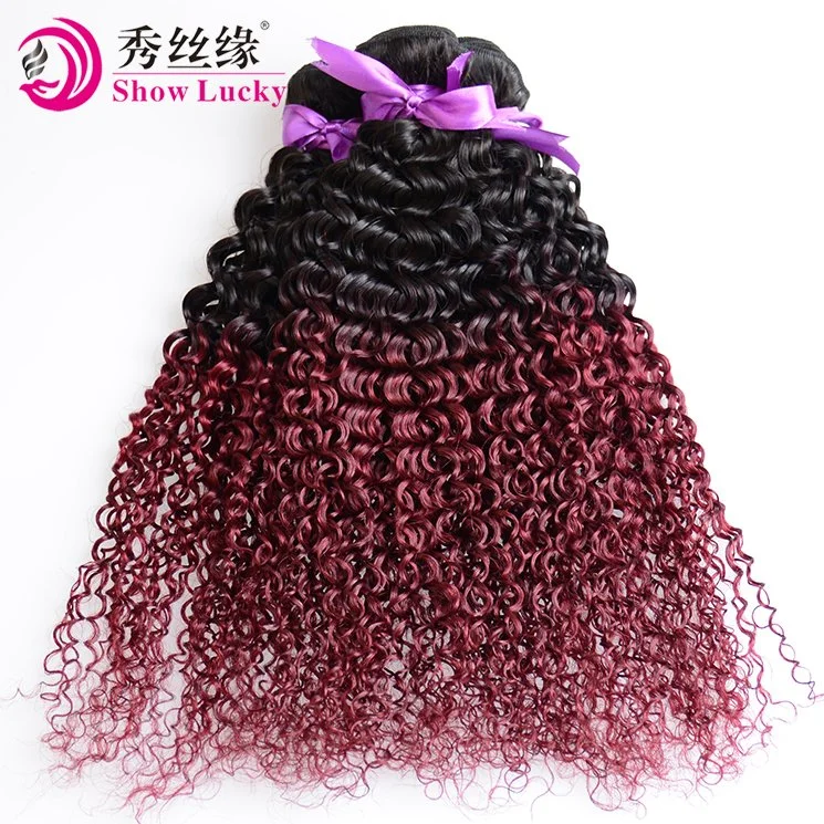 High Quality Brazilian 9A Grade Ombre 1b/99j Red Unprocessed 100% Virgin Brazil Kinky Curly Human Hair Weave