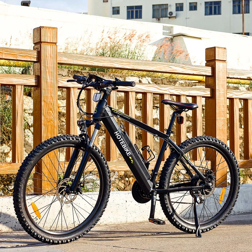 Best Durable Mountain Bike Electric Single Speed Electric City Bike Ebike 48V 500W 750W 1000W Motor Electric Bicycle