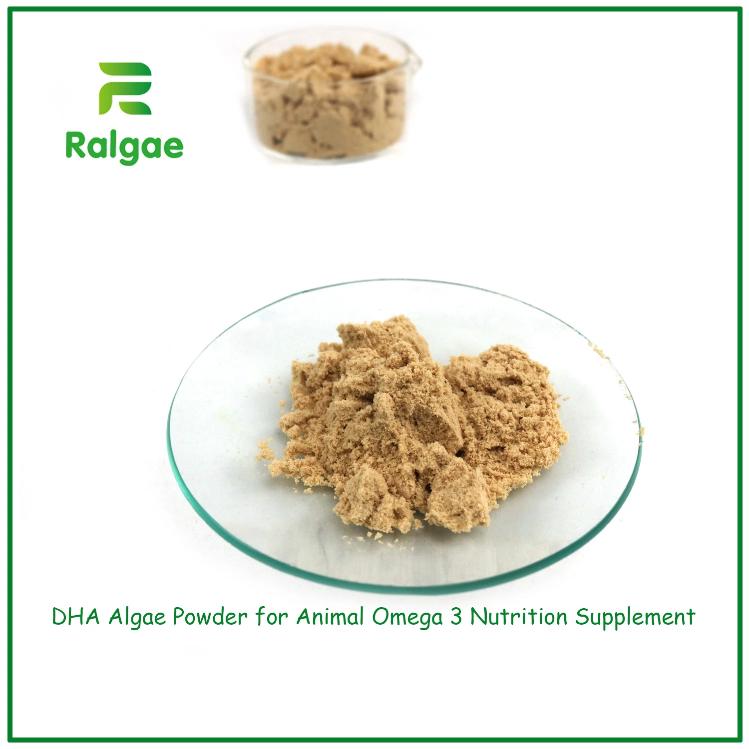 DHA Algae Powder Feed Additive Increase Beef Omega 3 Nutrition CAS6217-54-5