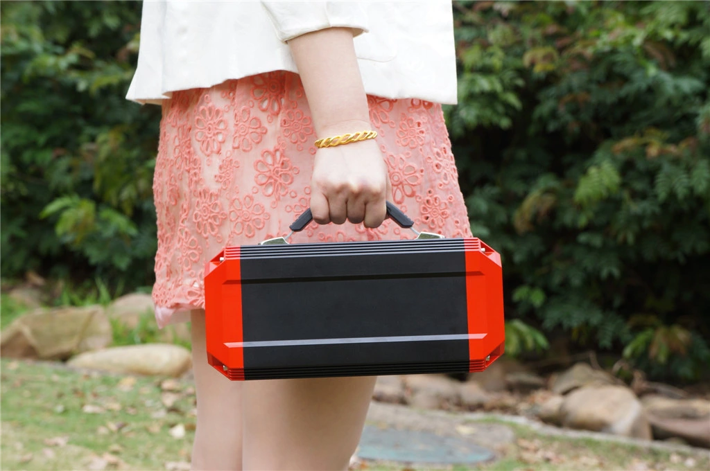 Lithium Power Generator Solar Battery Charger with Solar Panel