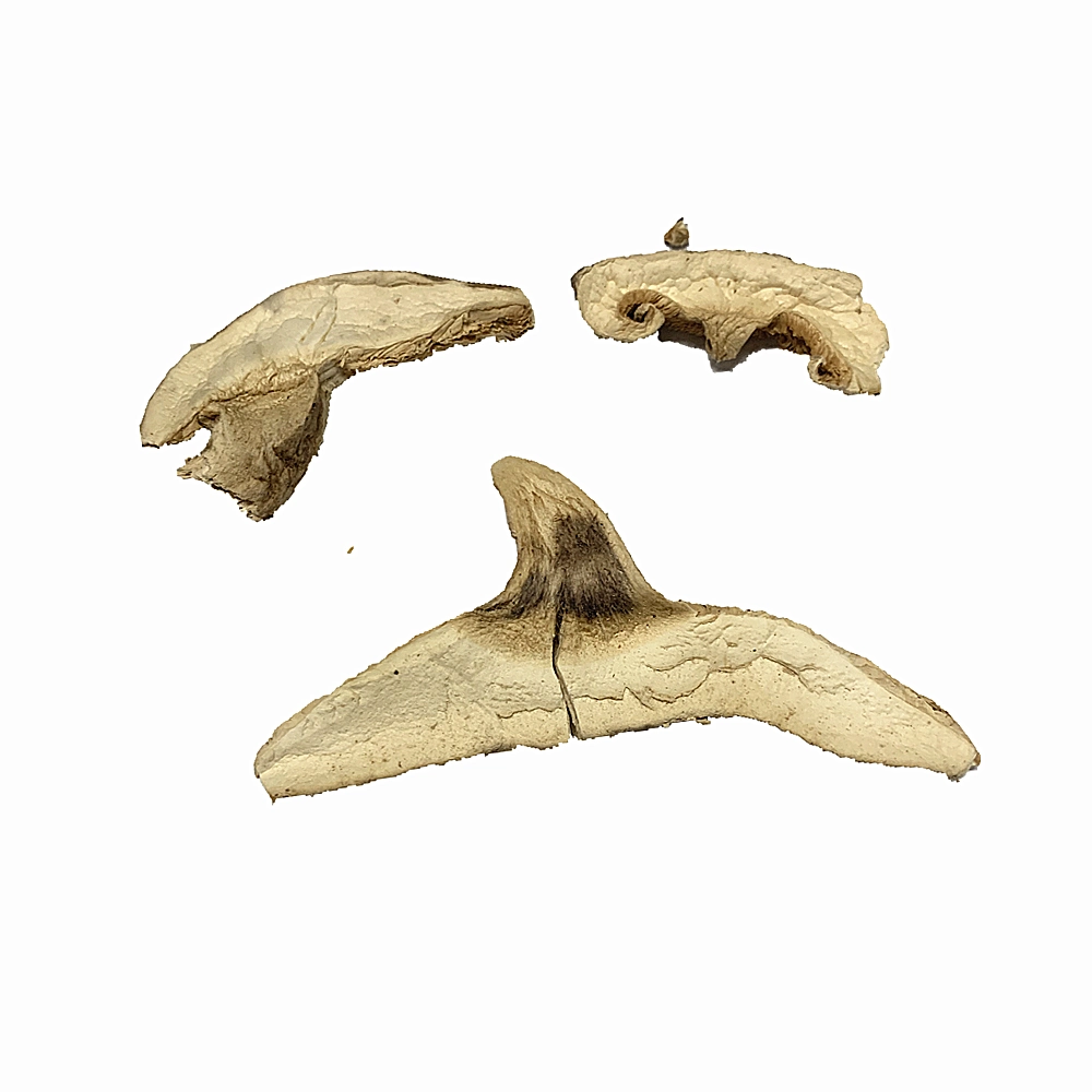 Wholesale/Supplier High quality/High cost performance  Sliced Dried Shitake Mushrooms