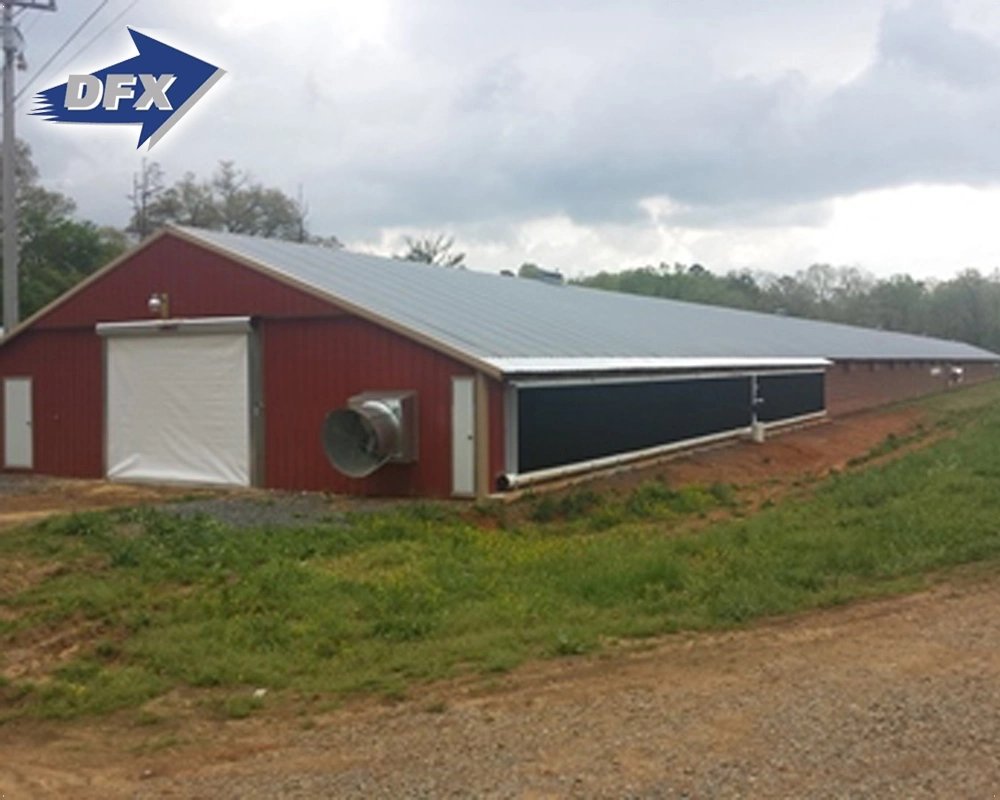 Prefabricados de estructura de acero automático de la granja avícola la construcción de Galpón de pollos broiler House Design