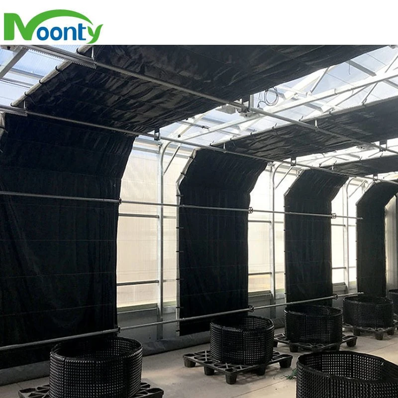 Single Tunnel Film Blackout Light Deprivation Greenhouse for Mushroom and Medical Plants