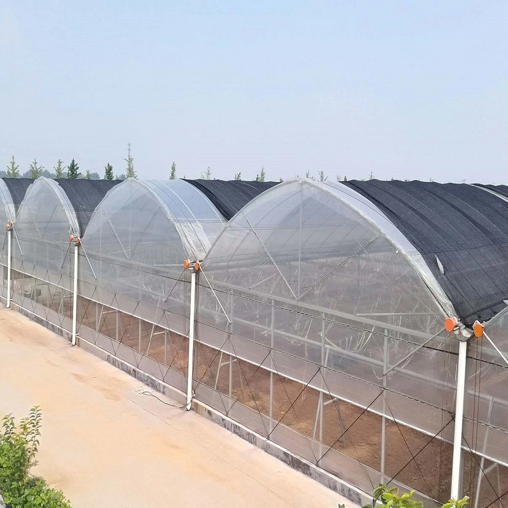 Arched Film Greenhouse with Hydroponic Ebb Flow Bench for Growing