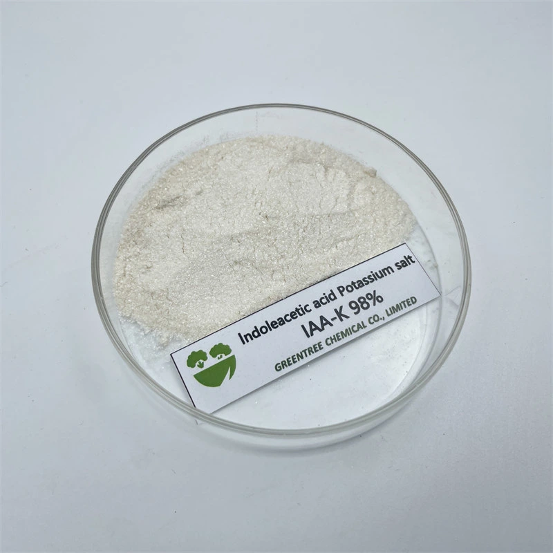 Cas 2338-19-4 régulateur AUXIN usine acide indolacétique sel de potassium IAA-K. 98 %