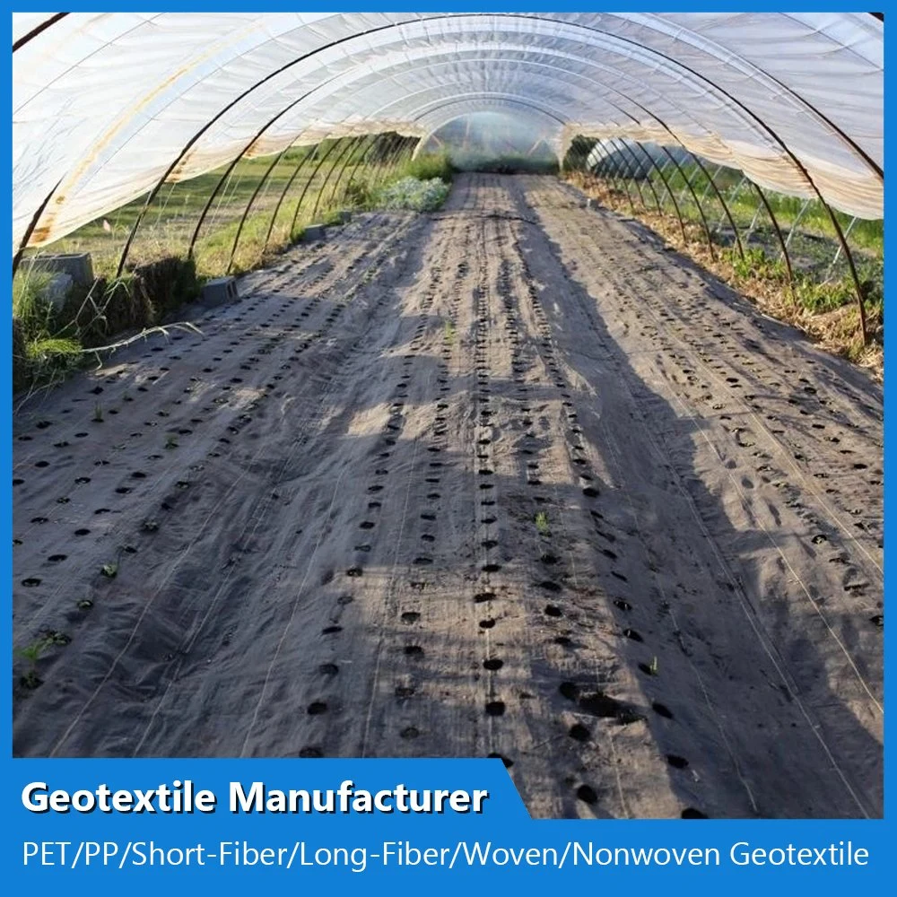 Fabricante de tela tejida Geotextile PP polipropileno Pet 100% tejido sin tejer Geotextiles Factory