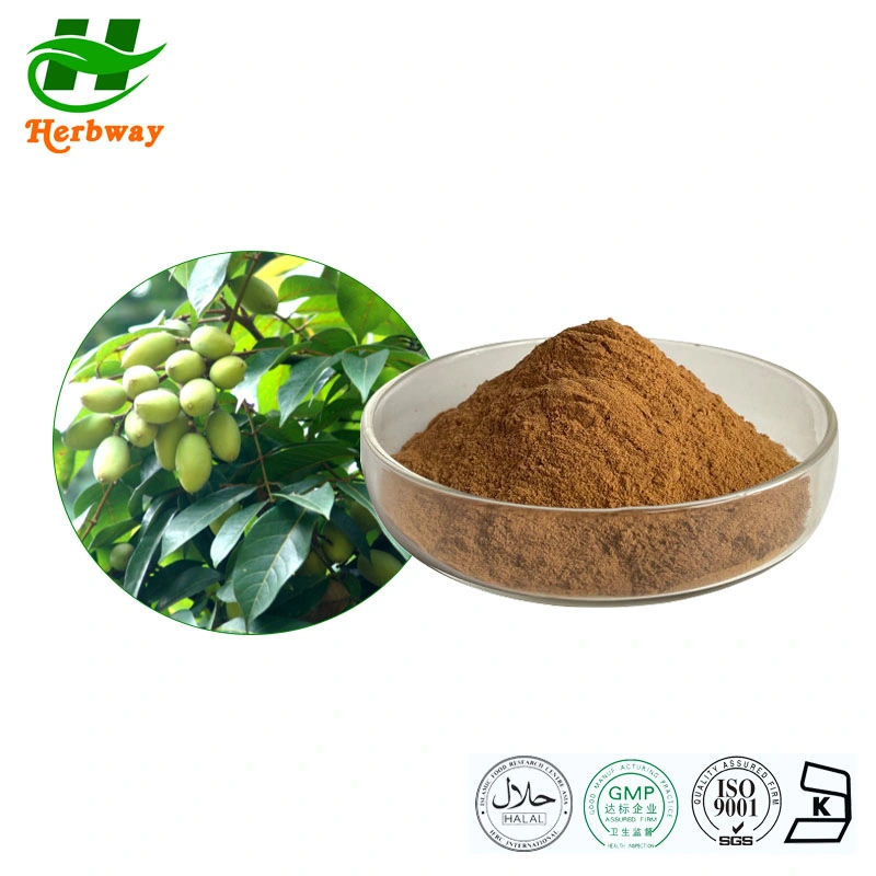 Herbway 20% oleuropeina ácido oleanólico hidroxytiroso ácido Maslínico Hoja de Oliva Extracto para suplemento dietético