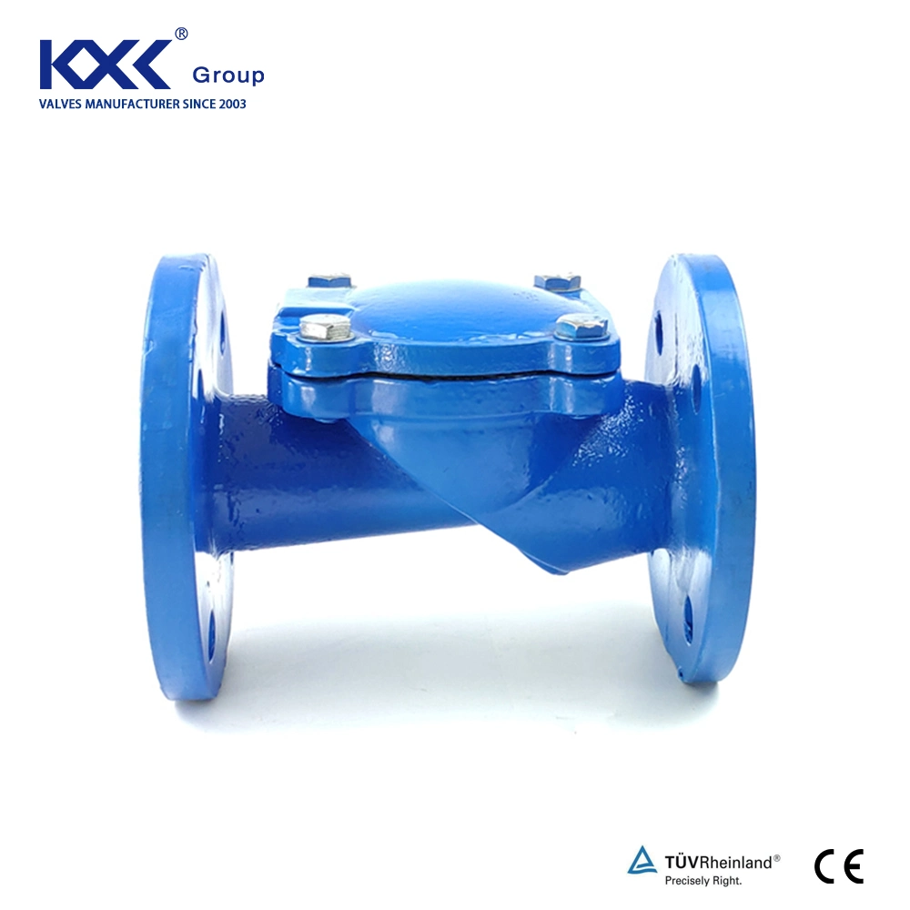 DIN Ductile Iron Di Ball Type Check Valve with Flanged Ends Check Valve