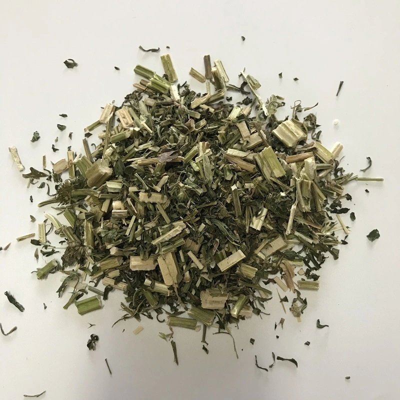 Yi Mu Cao Chinese Herbal Medicine Motherwort séchées de matières premières