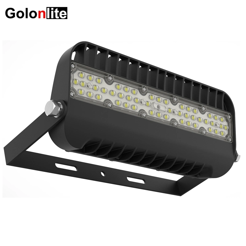 Security Billboard Spot Lighting 100W 30 60 90 Degrees IP66 Waterproof Outdoor LED Spotlight 50W