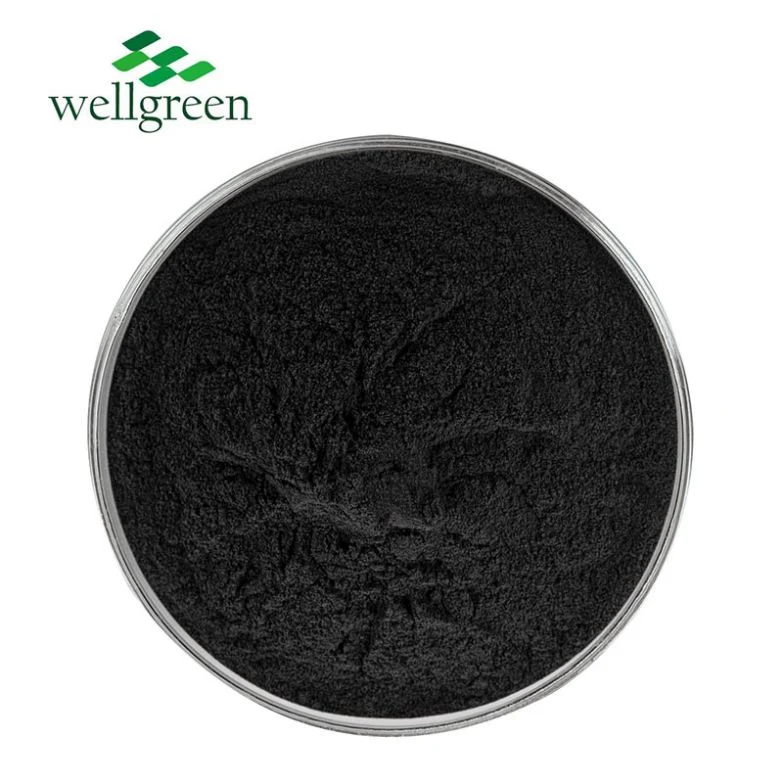 Meilleur Prix de haute qualité Noir de carbone Wellgreen Poudre Poudre de carbonate de poudre de charbon activé en poudre de carbonate de calcium