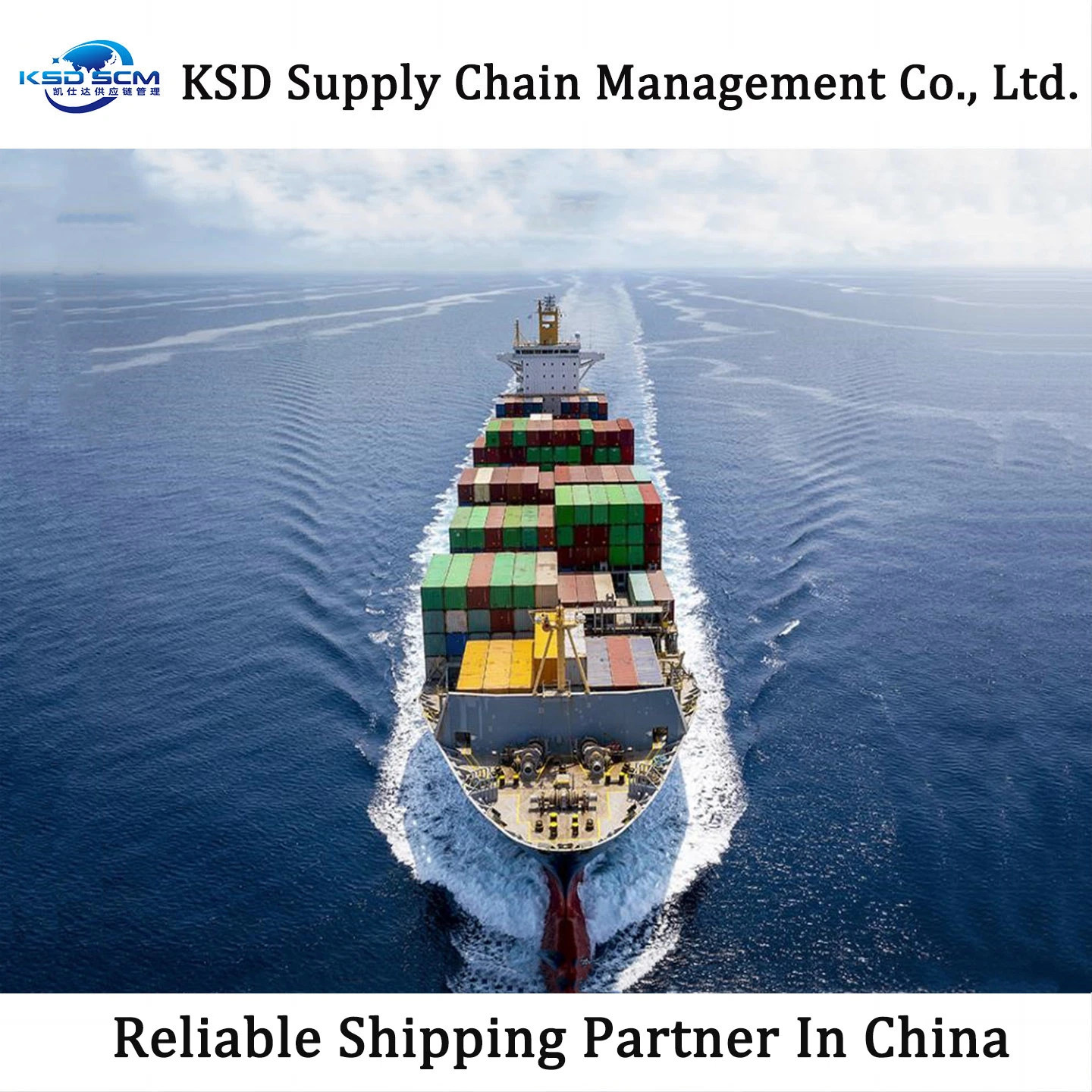 Sea Freight to Indian 20FT 40FT Container Shipping Sea Shipping Agent