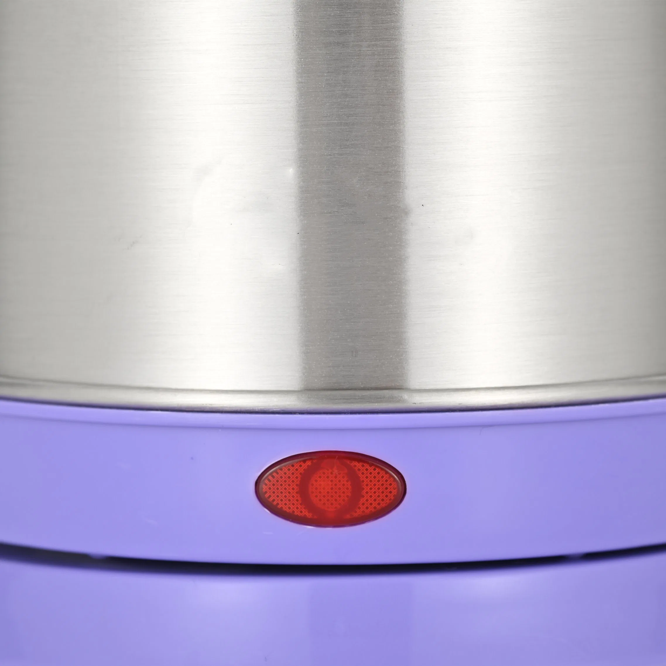 Purple Color 201 Stainless Steel Matt Electrical Kettle