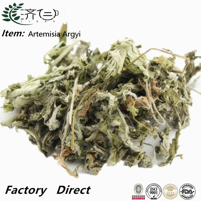 Médecine traditionnelle chinoise de fines herbes ai Ye Wild Pure feuilles séchées Folium Artemisiae Argyi