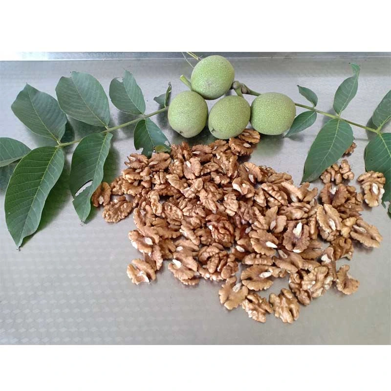 185 Shelled Walnut Xinjiang Walnut Walnut Kernels Light Halves