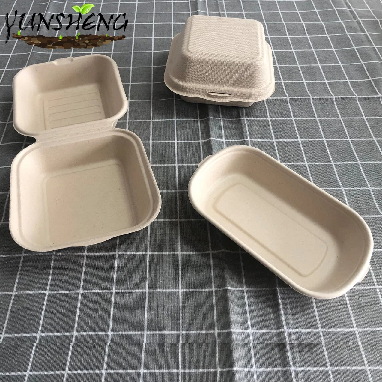 Microwavable Disposable Sugarcane/Wheat Straw/Bamboo Pulp/Firber 100% Compostable Tableware