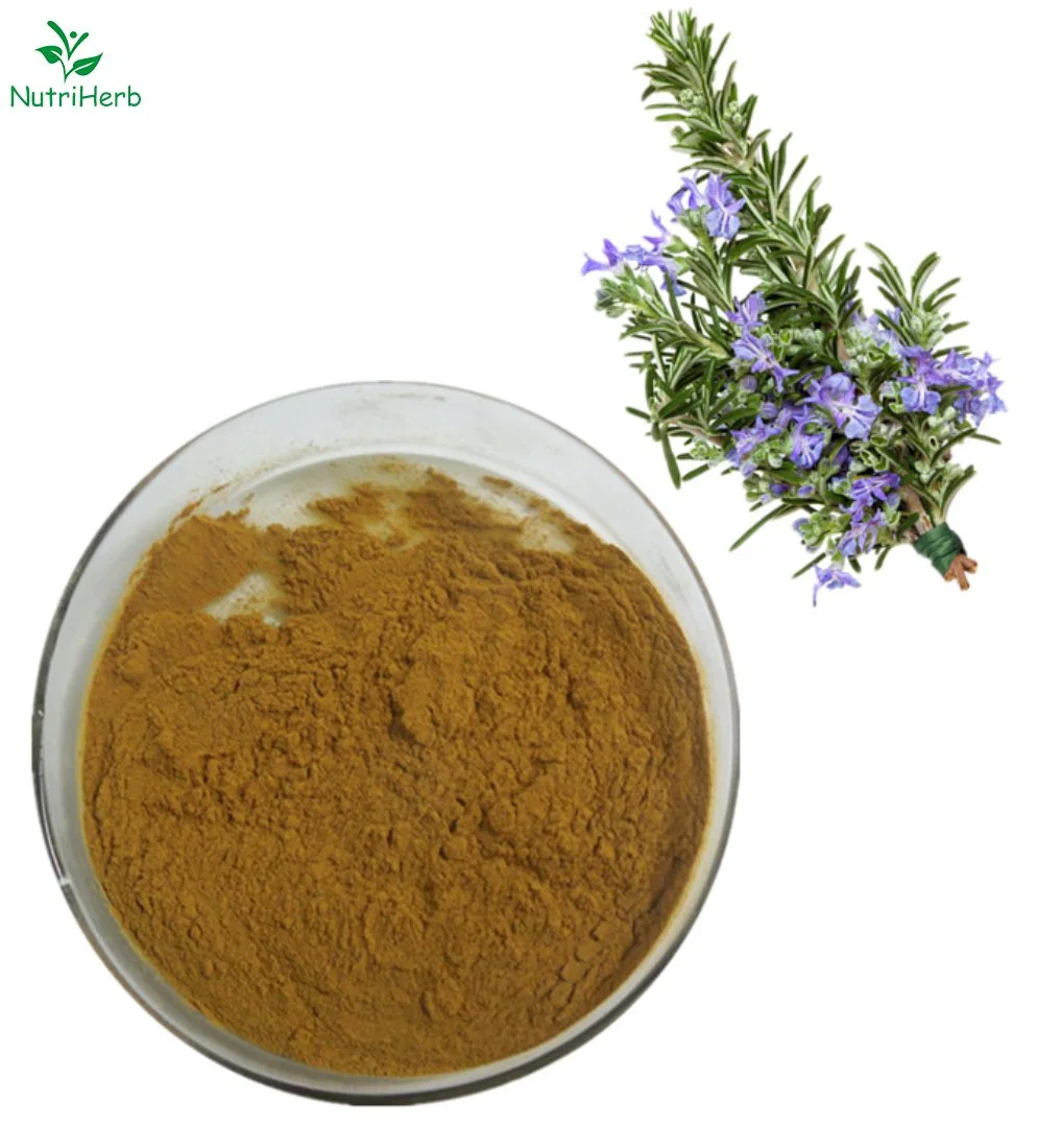 Bulk Rosemary Leaf Extract 5%-30% Carnosic Acid CAS 3650-09-7 Nutriherb