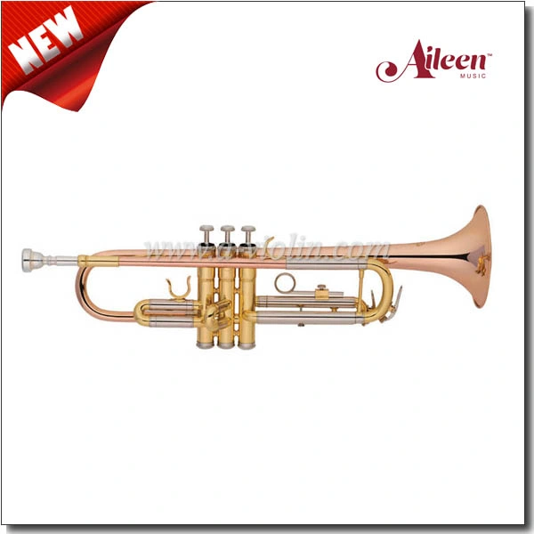 Upgrade Model Rose Brass Leadpipe Trumpet (TP8391G-SRY)