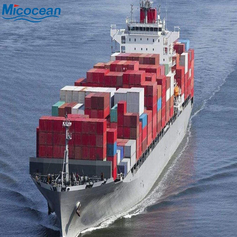 China Professional Ocean Freight Forwarer FCL/LCL Shipping Agent to Australia