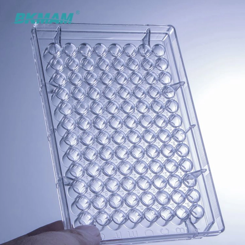 6well 12well 24well 48well 96well Transparent Tc Treated Cell Culture Plate with Lid