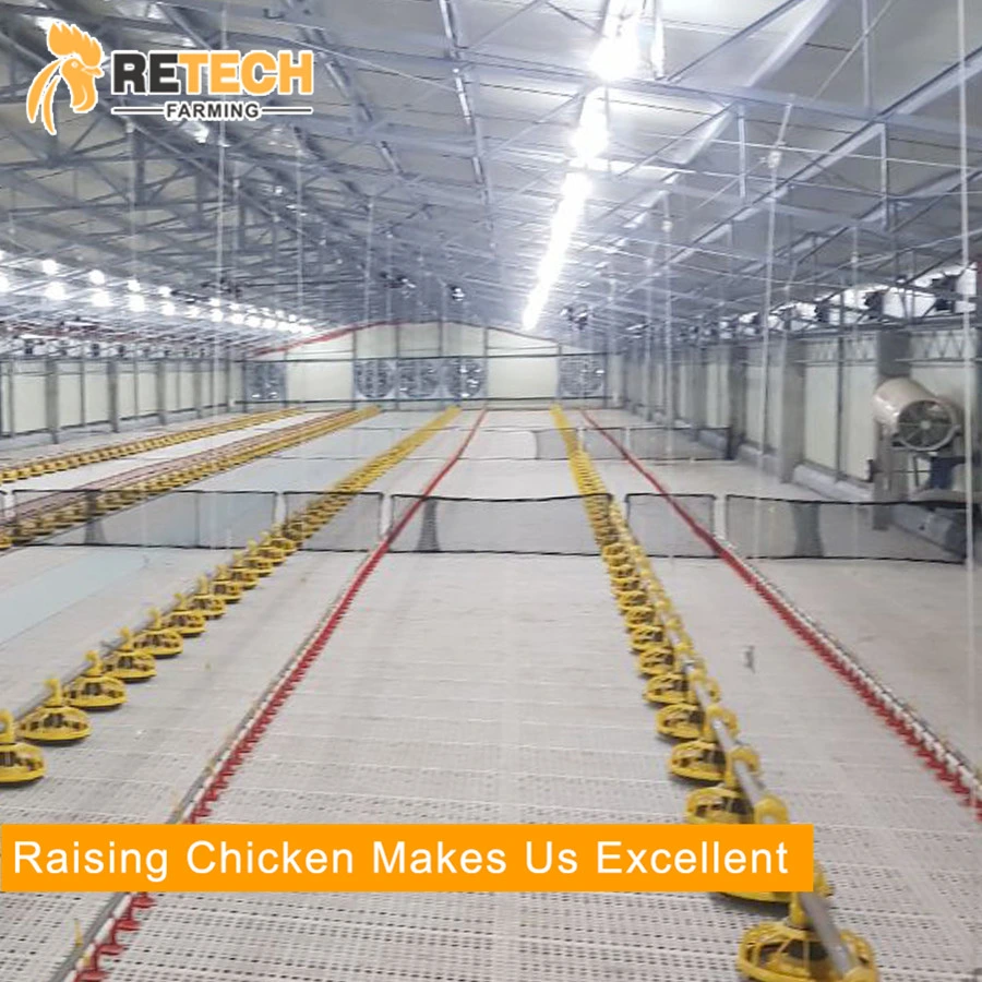 Good design light steel structure chicken farm poultry house in Africa