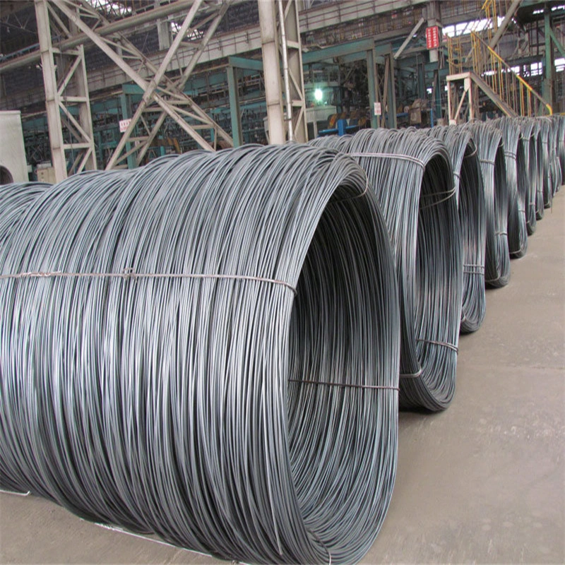 High Standard Good Price SAE1008 5.5mm Steel Wire Rod in Coils for Construction Steel Wire Rod