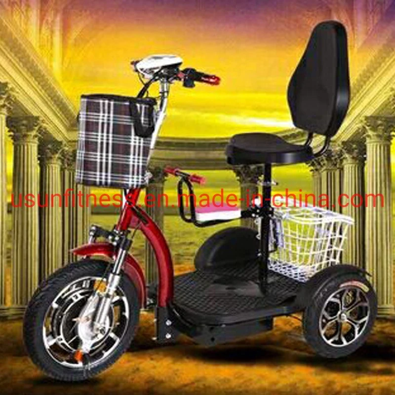 3 Wheel Electric Mobility Scooter with CE