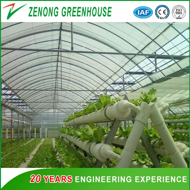 Effizientes Polycarbonat Gewächshaus und hydroponic growing System für Tomaten und Salat