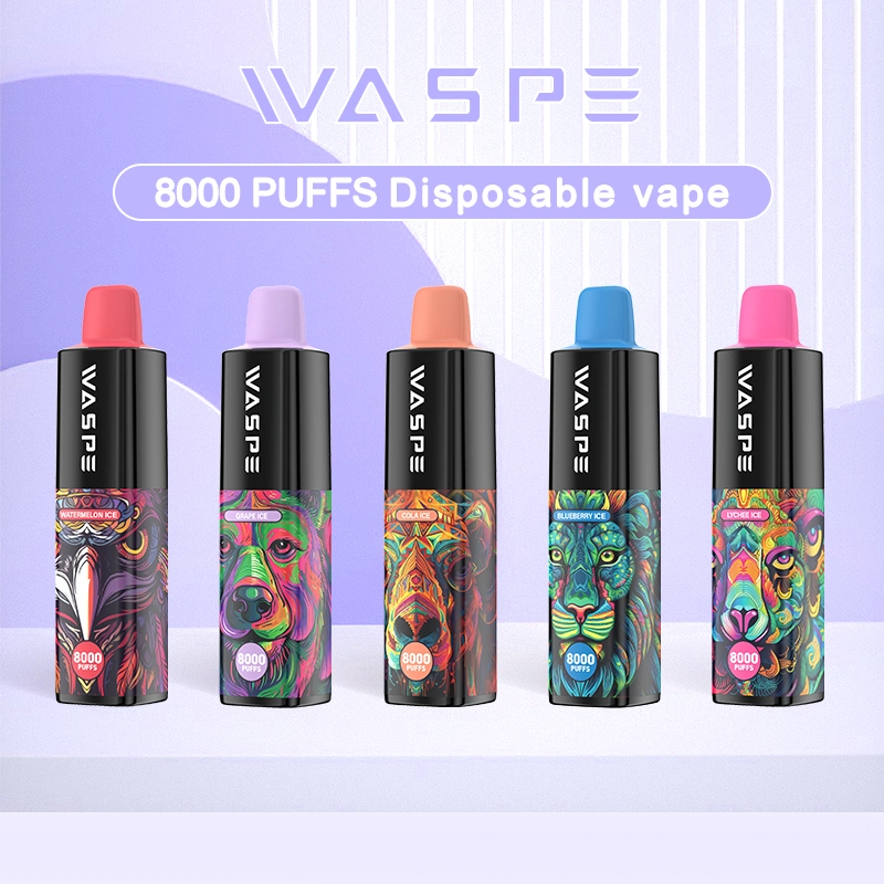 Waspe 8000 Vape stylo jetable 8000bouffées Pre-Filled Ejuice 16ML 650mAh rechargeables de type C