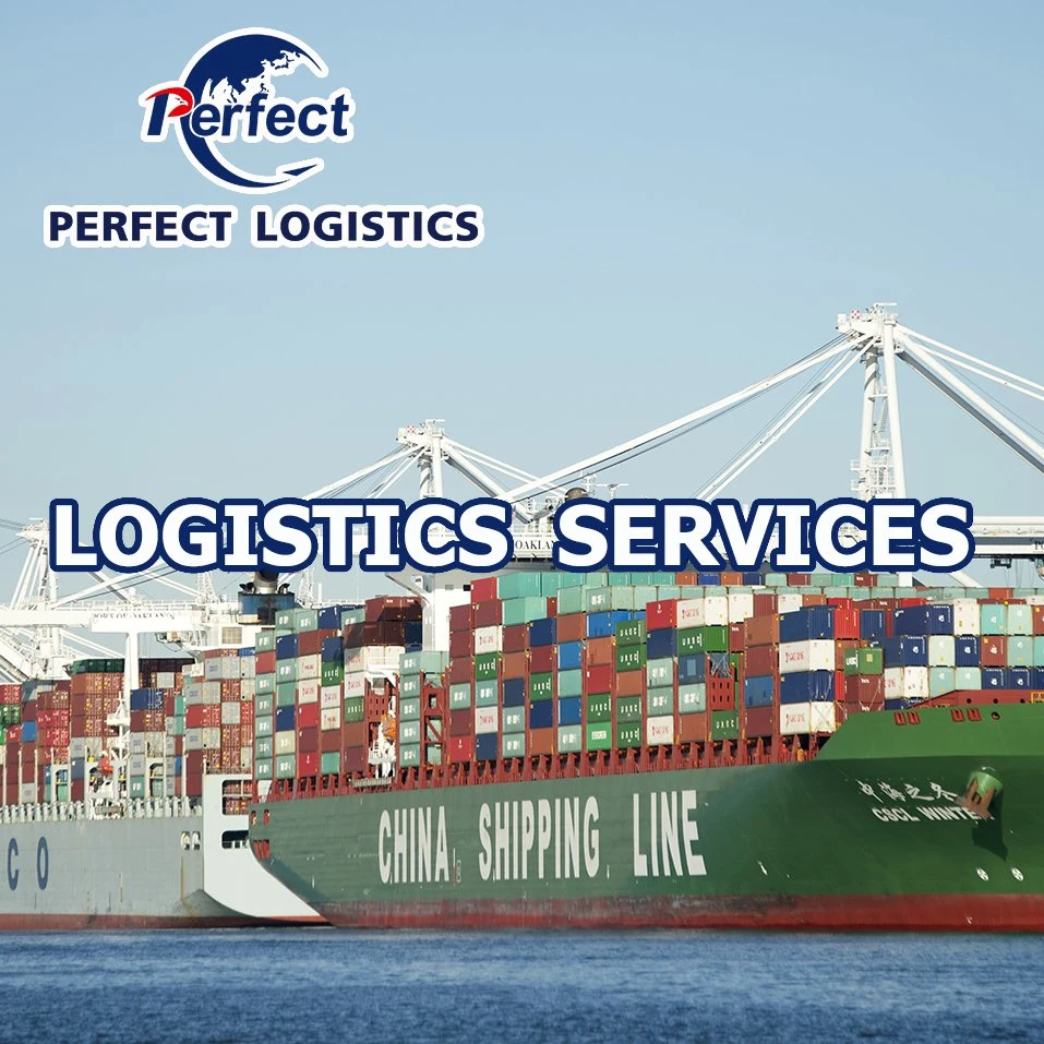 Freight Forwarder Sea Cargo Shipment Service From China to Netherlands