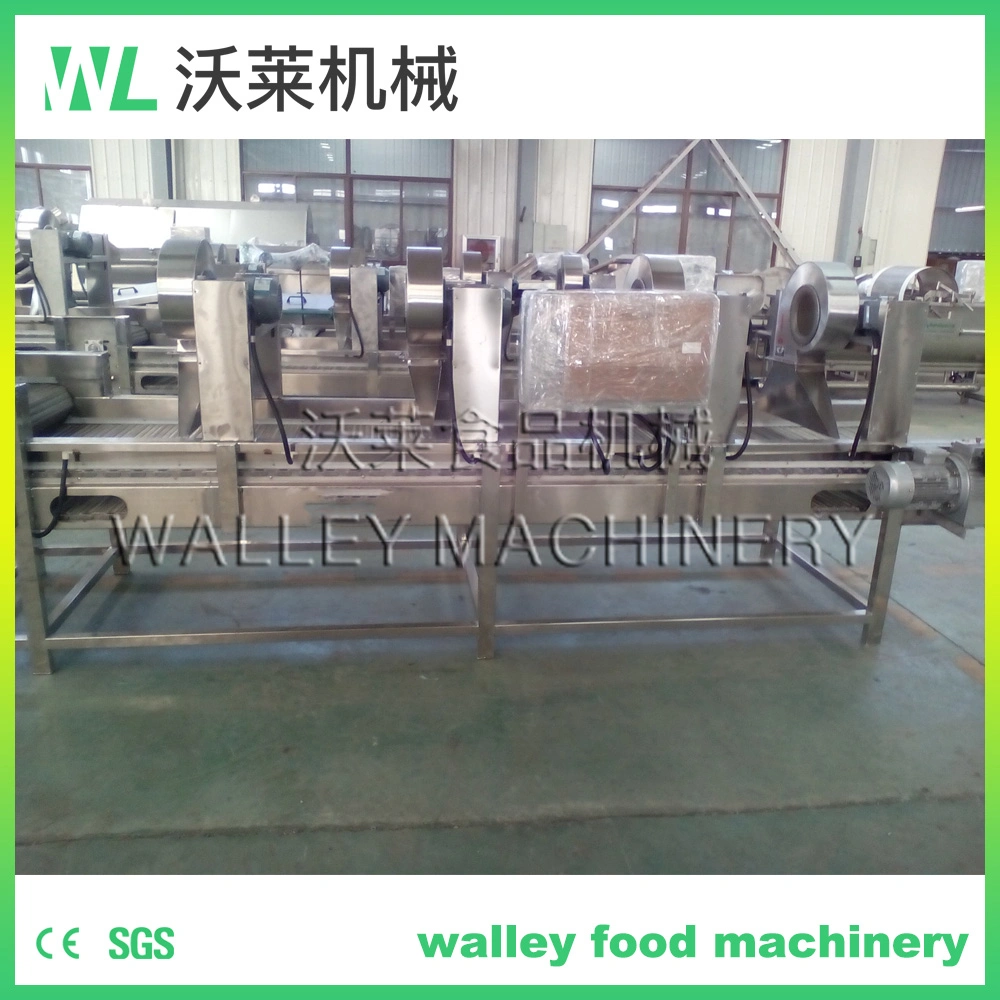 Factory Price Dewatering Equipment for Minimally Process Vegetables and Fruits