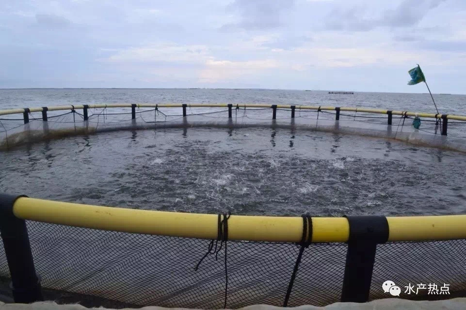 Acuicultura de Mar profundo cría de peces jaula neta