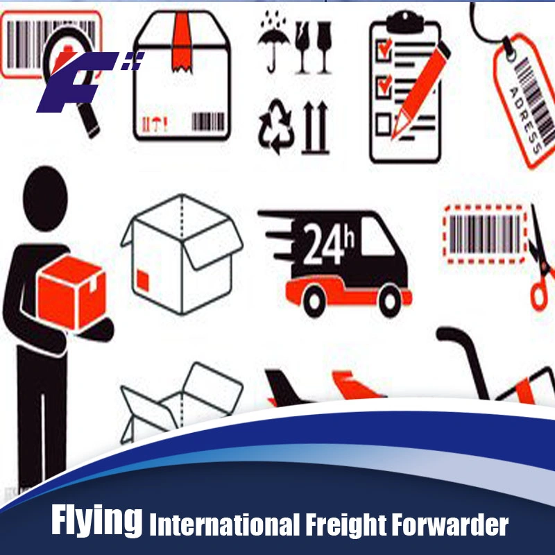 Sea Shipment Logistics Forwarder From China to Australia/Singapore Shipping Agent Logistics Service