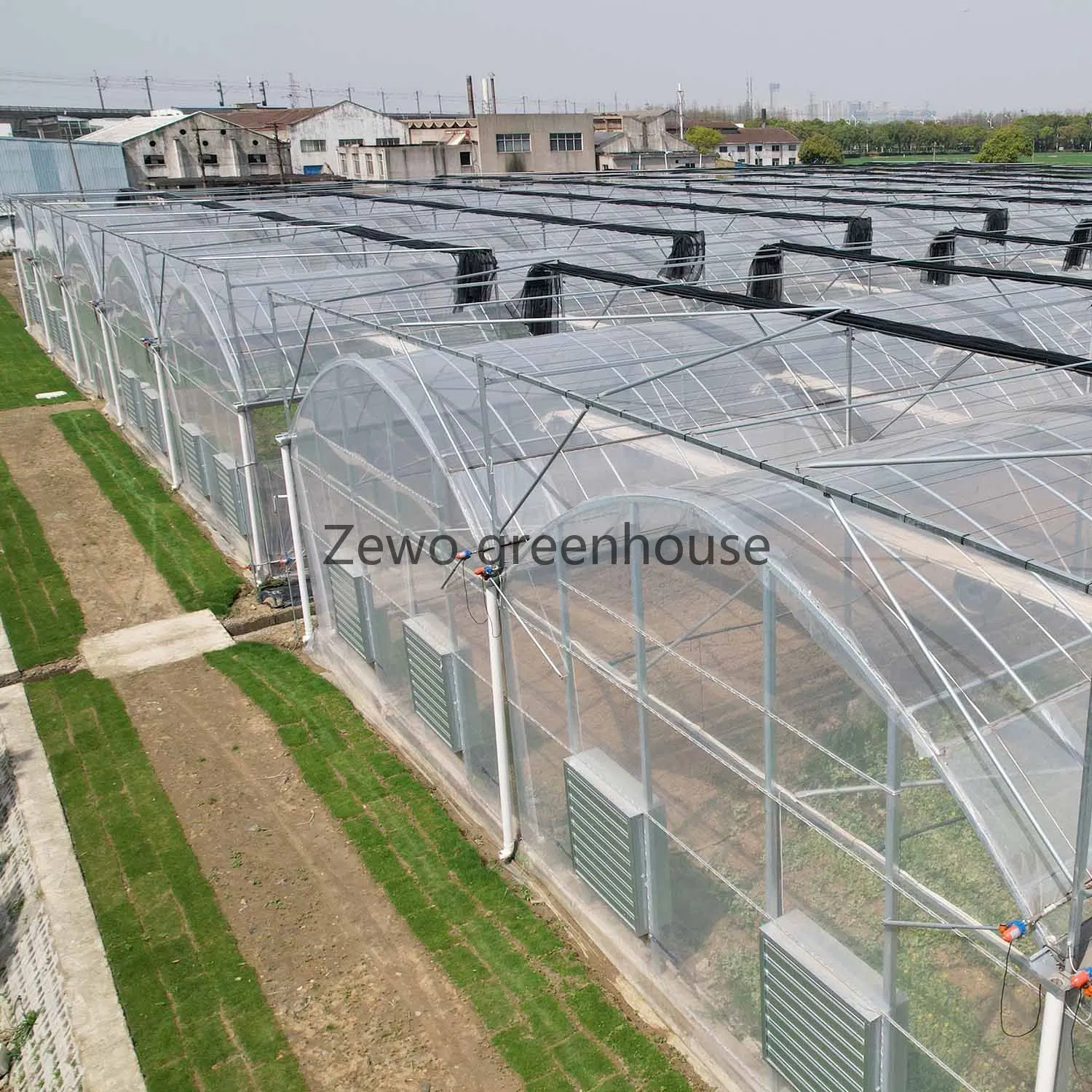 Película de arco simple con varias Casa Verde con el cultivo hidropónico creciente para la siembra de tomate y pepino Pimiento/etc hortalizas cultivo Soilless