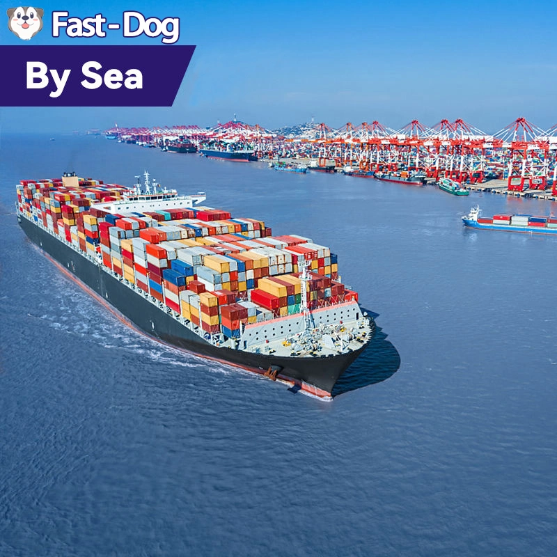 2023 Hot Selling Competitive Price Sea Freight 40hq From China FCL LCL Buy China to USA Sea Shipping