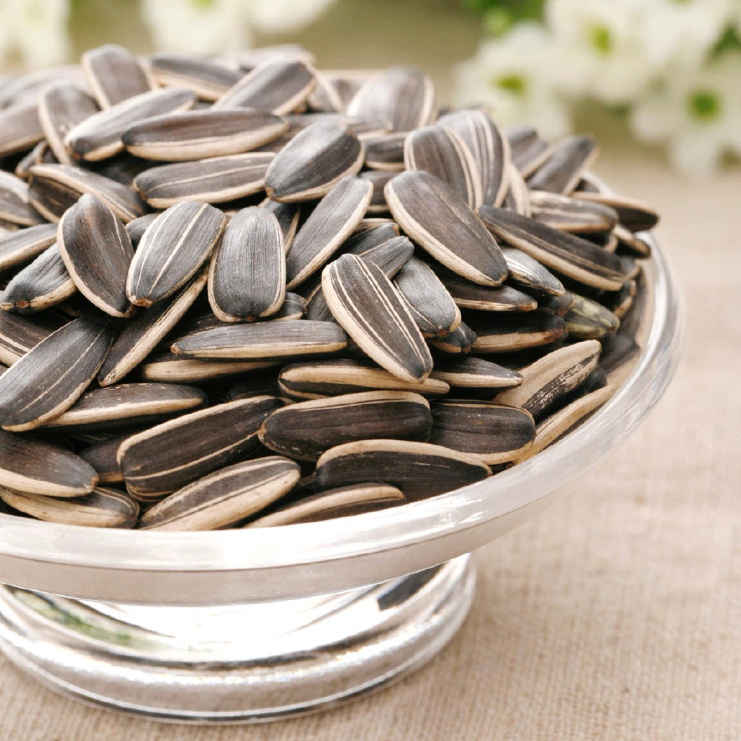 Natural Roasted Sunflower Seeds Original Flavor Type 363 Large Particles