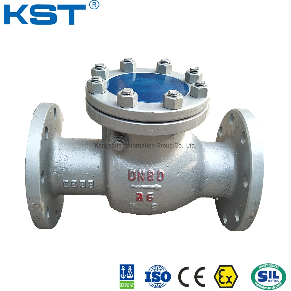 Wcb Check Valve