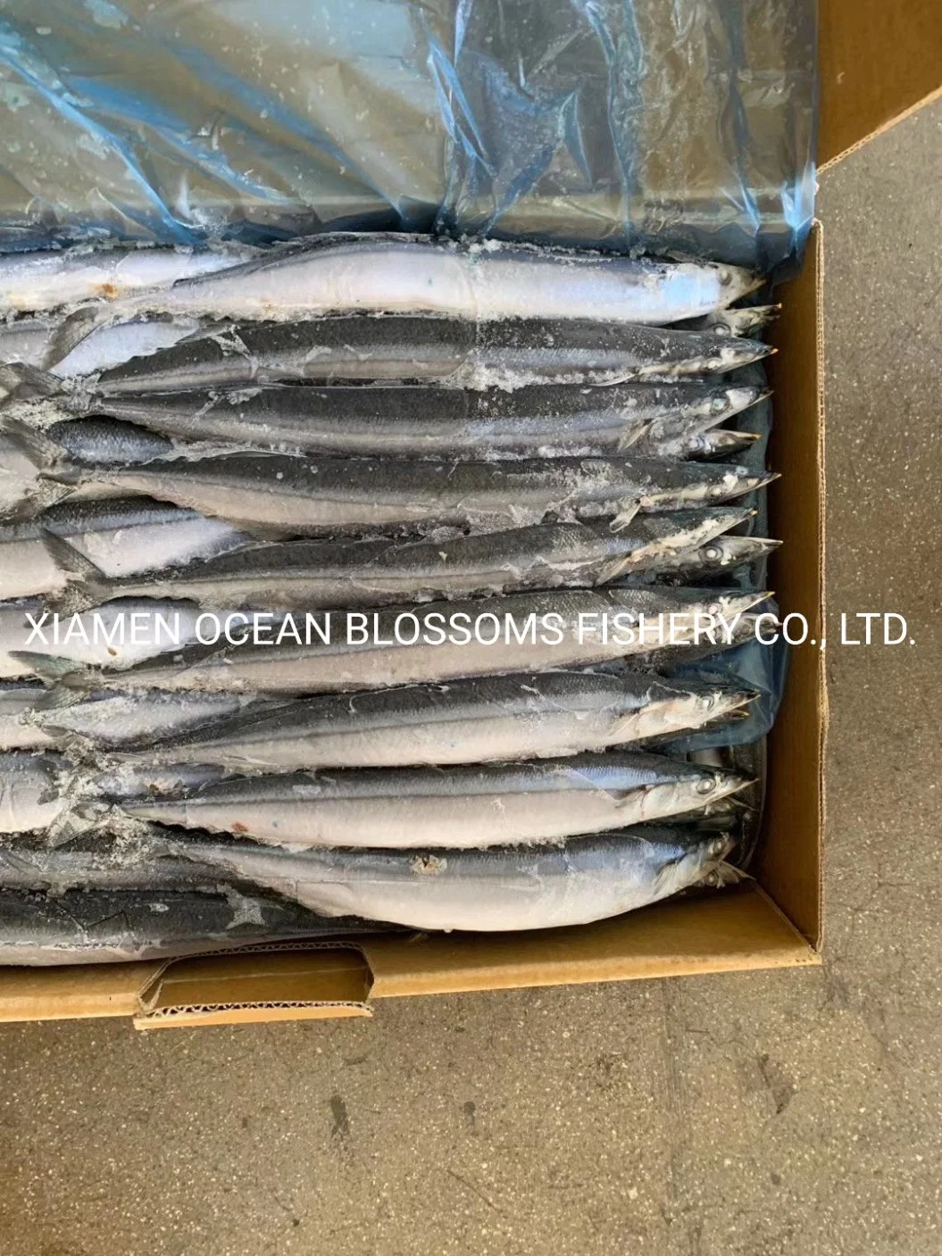 High quality/High cost performance Taiwan Pacific Saury Hot Sale From China Manufacturer