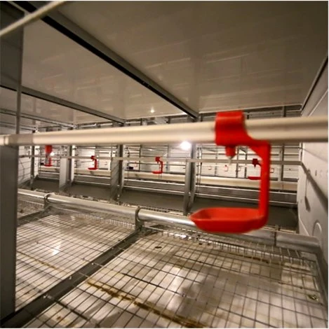 Un design moderne H de type automatique les élevages de volailles des cages de poulet de la couche de la batterie