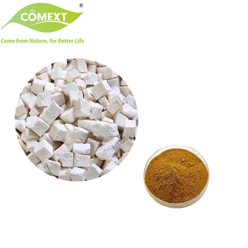 Comext Halal Kosher Tuckahoe Powder Poria Cocos Polysaccharides 30% 10%-50% Poria Cocos Extract