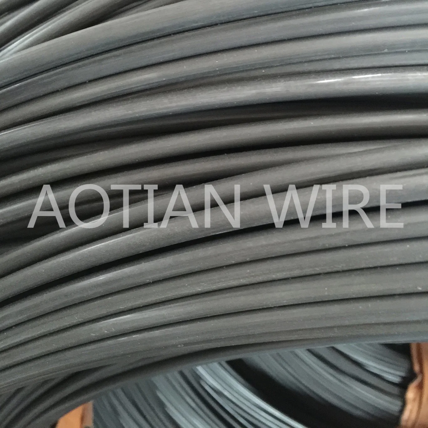 Cold Heading Forging Quality Swch10A 2.9mm Fasteners Saip Steel Wire