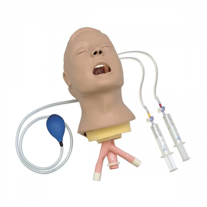 Good Price Classical Intubation Training Model