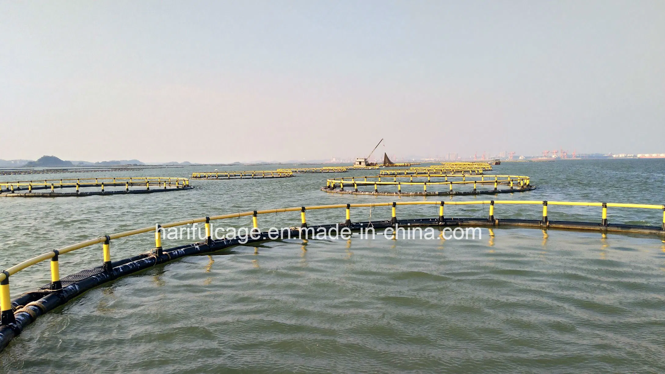 Fish Cage Hariful-344