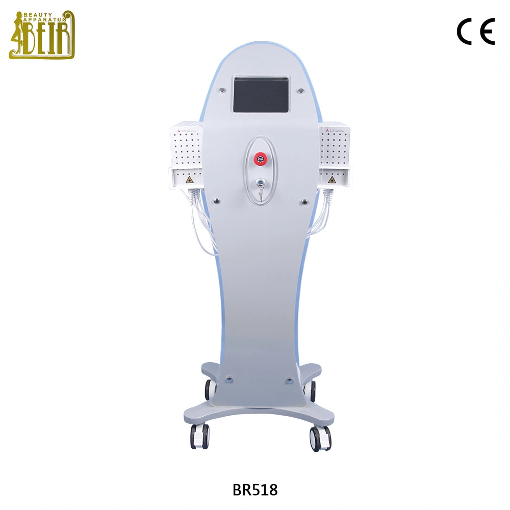 Vertical Dual Diodo Wavelength Precio De Lipolaser 650nm 980nm Lipo Laser Slimming Machine