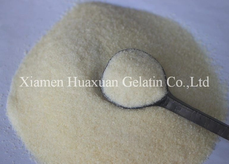 Wholesale/Supplier Beef Fish Edible Halal Gelatin Powder