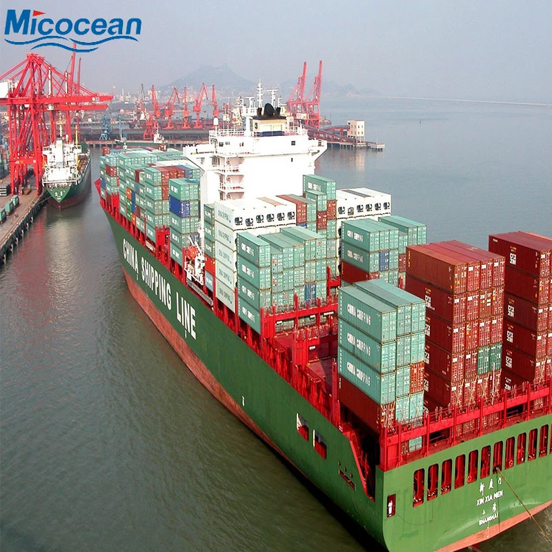 China Professional Ocean Freight Forwarer FCL/LCL Shipping Agent to Australia