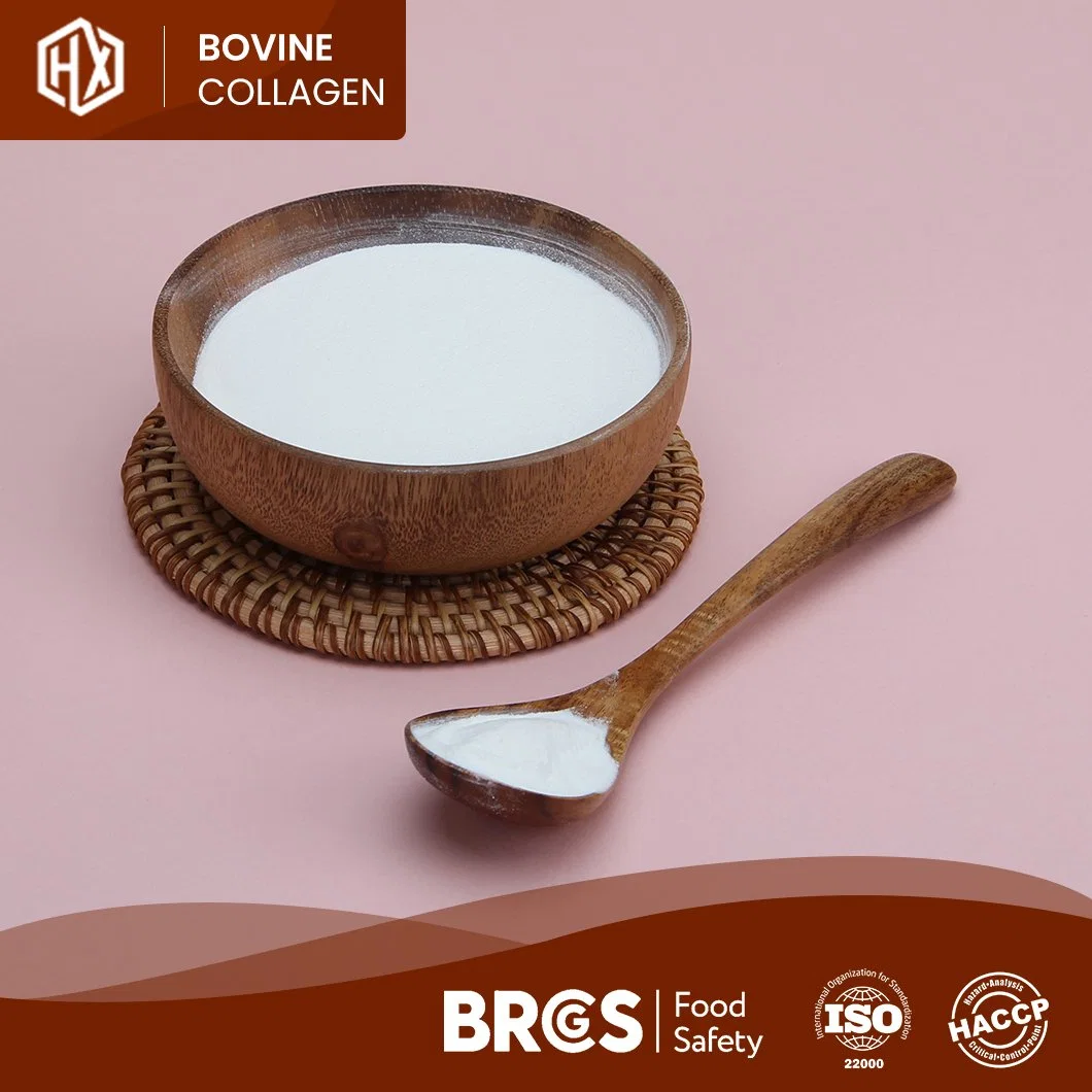 Haoxiang Quality Bovine Bone Collagen OEM Customized Flavourless Pure Bovine Collagen China Manufacturers One-Stop Service Cheap Price Collagen Peptides Gelatin