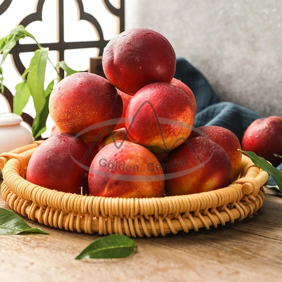 Chinese Manufacturer Prices Fresh Nectarine Peach with A Grade